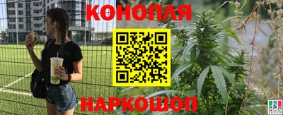 прущие крисы Бузулук