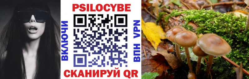 Галлюциногенные грибы MAGIC MUSHROOMS  Кемерово 