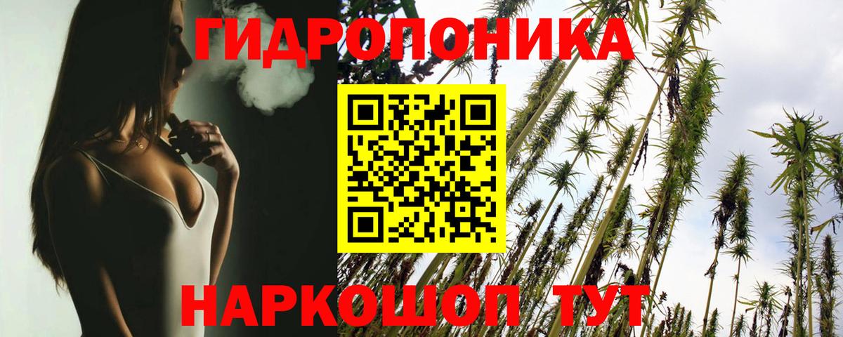 Марихуана план  Вход с VPN  Бошки марихуана семена  МАРИХУАНА планчик  Бошки марихуана Amnesia  Кемерово 